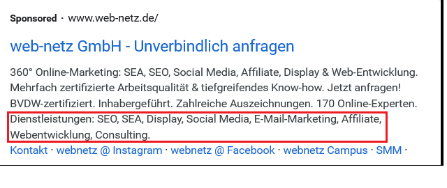 Screenshot Google Ads Snippet-Erweiterung von web-netz.de