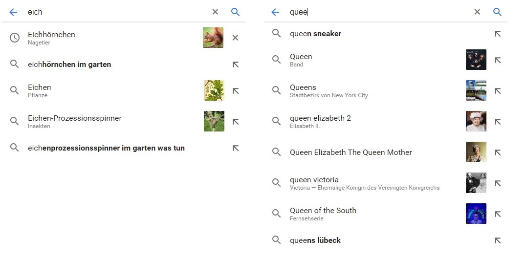Suchergebnisse aus der Vorschlagssuche von Google