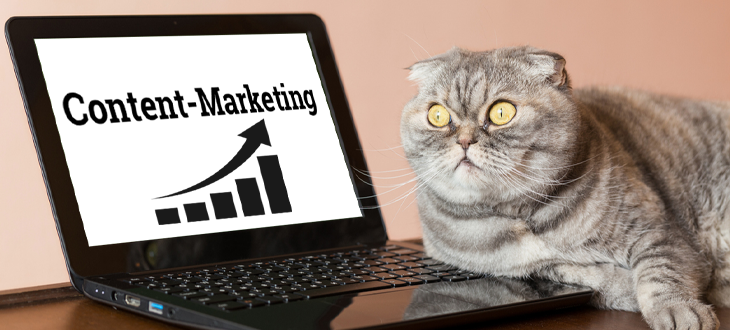 Katze vor Notebook mit Grafik zu Content Marketing