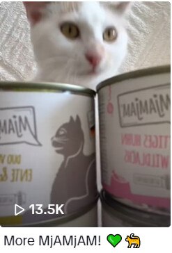 Screenshot eines TikTok-Videos von MjamMjam