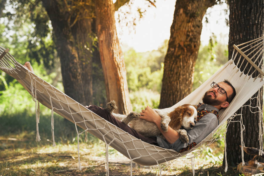 Ein Mann schläft mit seinem Hund in einer Hängematte